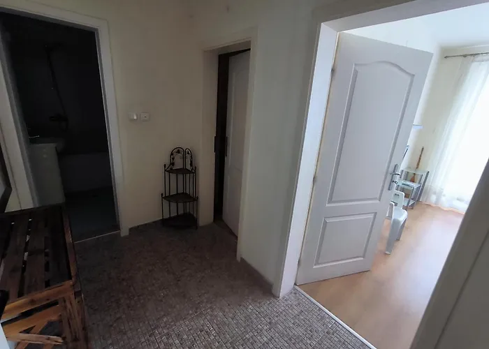 Psb In Flores Park Slăntjev Brjag